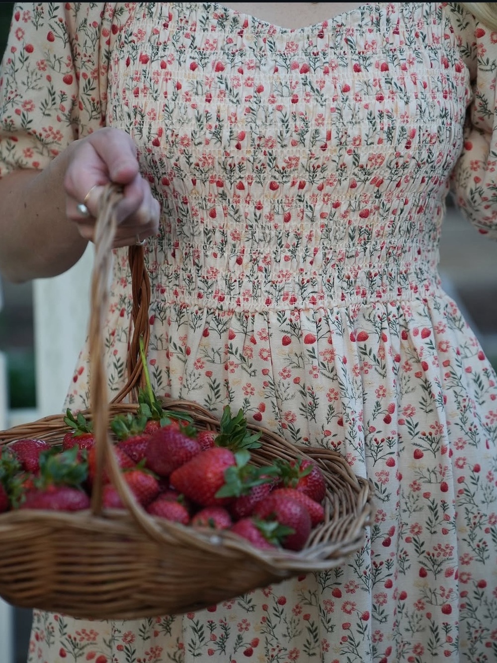 Little Cottonwood Strawberry Parker